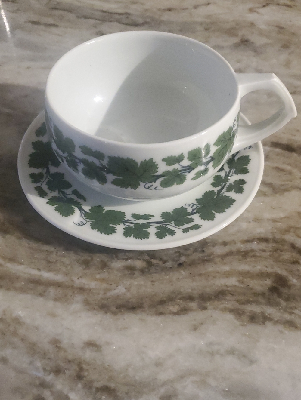 German Porcelain Teacup and Saucer with Green Leaf Pattern